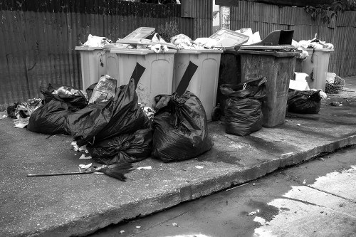 Clean and maintained Lewisham garden post-clearance